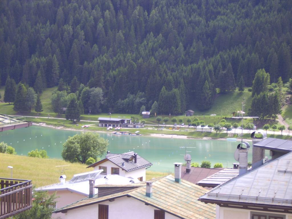 Albergo Bar Meuble Al Gallo Auronzo di Cadore Oda fotoğraf