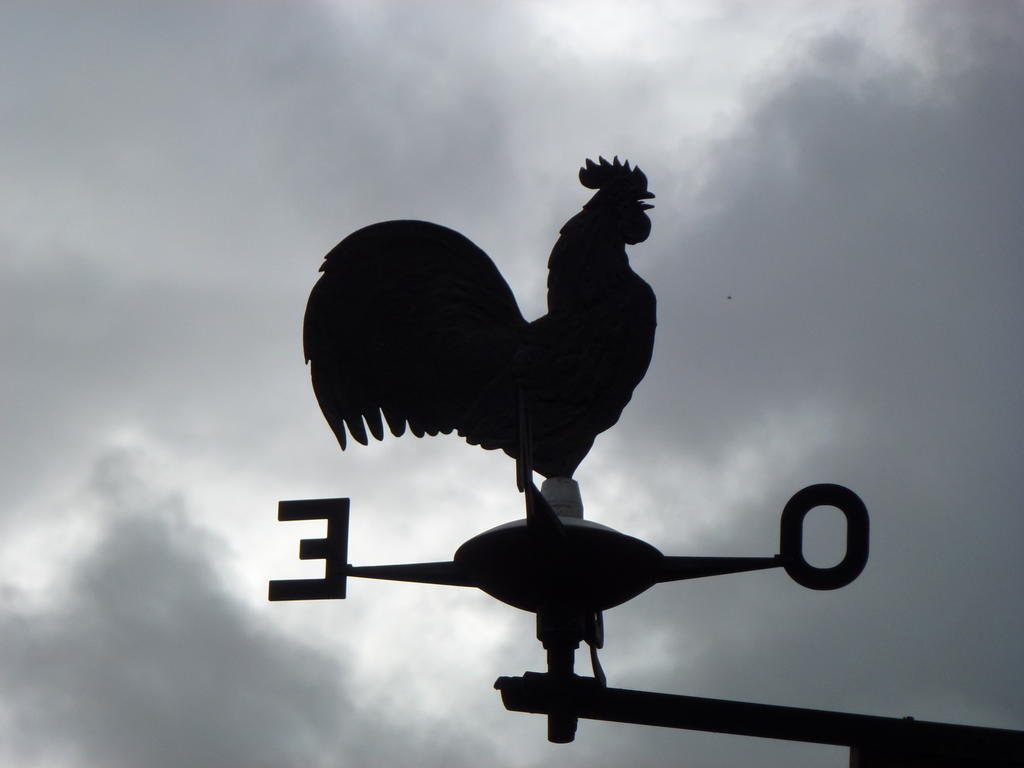 Albergo Bar Meuble Al Gallo Auronzo di Cadore Dış mekan fotoğraf